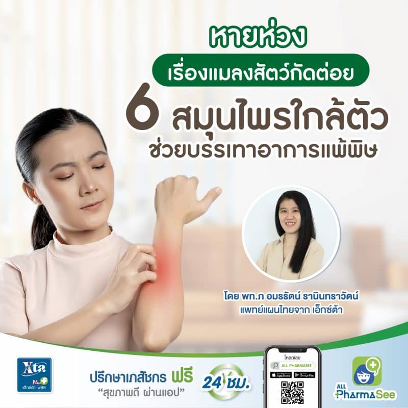 รวมกัน 102+ ภาพพื้นหลัง สมการที่ลดพิษจากแมลงสัตว์กัดต่อย ใหม่ที่สุด รวมกัน 102+ ภาพพื้นหลัง สมการที่ลดพิษจากแมลงสัตว์กัดต่อย ใหม่ที่สุด
