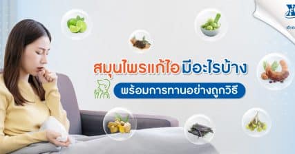 สมุนไพรแก้ไอ มีอะไรบ้าง พร้อมการทานอย่างถูกวิธี