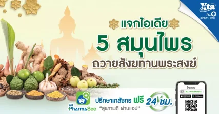 แจกไอเดีย 5 สมุนไพรถวายสังฆทาน พระสงฆ์