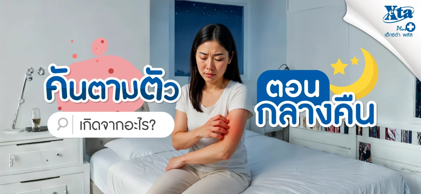คันตามตัวตอนกลางคืน เกิดจากอะไร? มารู้สาเหตุ พร้อมวิธีแก้ไข eXta Plus