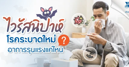 ร้านยา เอ็กซ์ต้า พลัส ชวนรู้จัก ไวรัสนิปาห์ โรคระบาดใหม่ต้องเฝ้าระวัง อาการรุนแรงแค่ไหน