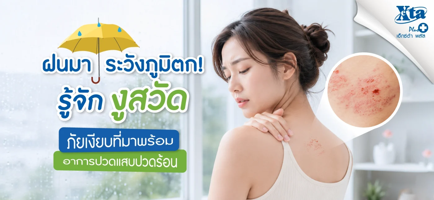 รู้จัก “งูสวัด” ภัยเงียบที่มาพร้อม อาการปวดแสบปวดร้อน ช่วงหน้าฝน