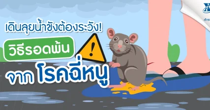 ลุยน้ำขังต้องระวัง! วิธีรอดพ้นจาก โรคฉี่หนู ฉบับอ่านจบทำตามได้ จาก ร้านยา เอ็กซ์ต้า พลัส