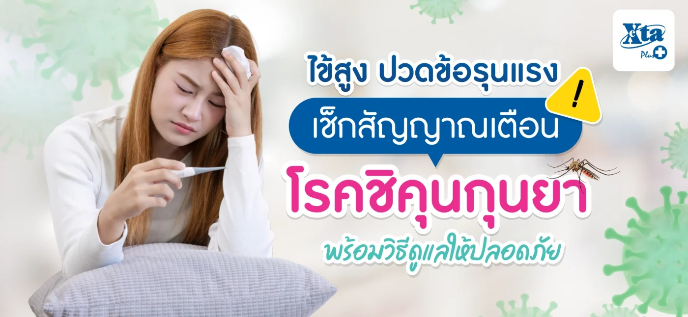 ไข้สูง ปวดข้อรุนแรง! เช็กสัญญาณโรค ชิคุนกุนยา พร้อมวิธีดูแลให้ปลอดภัย