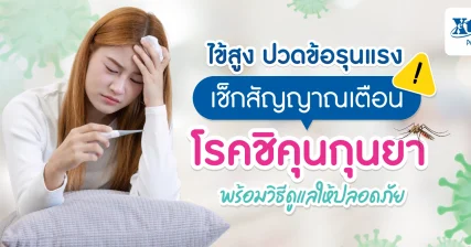 ไข้สูง ปวดข้อรุนแรง! เช็กสัญญาณโรค ชิคุนกุนยา พร้อมวิธีดูแลให้ปลอดภัย