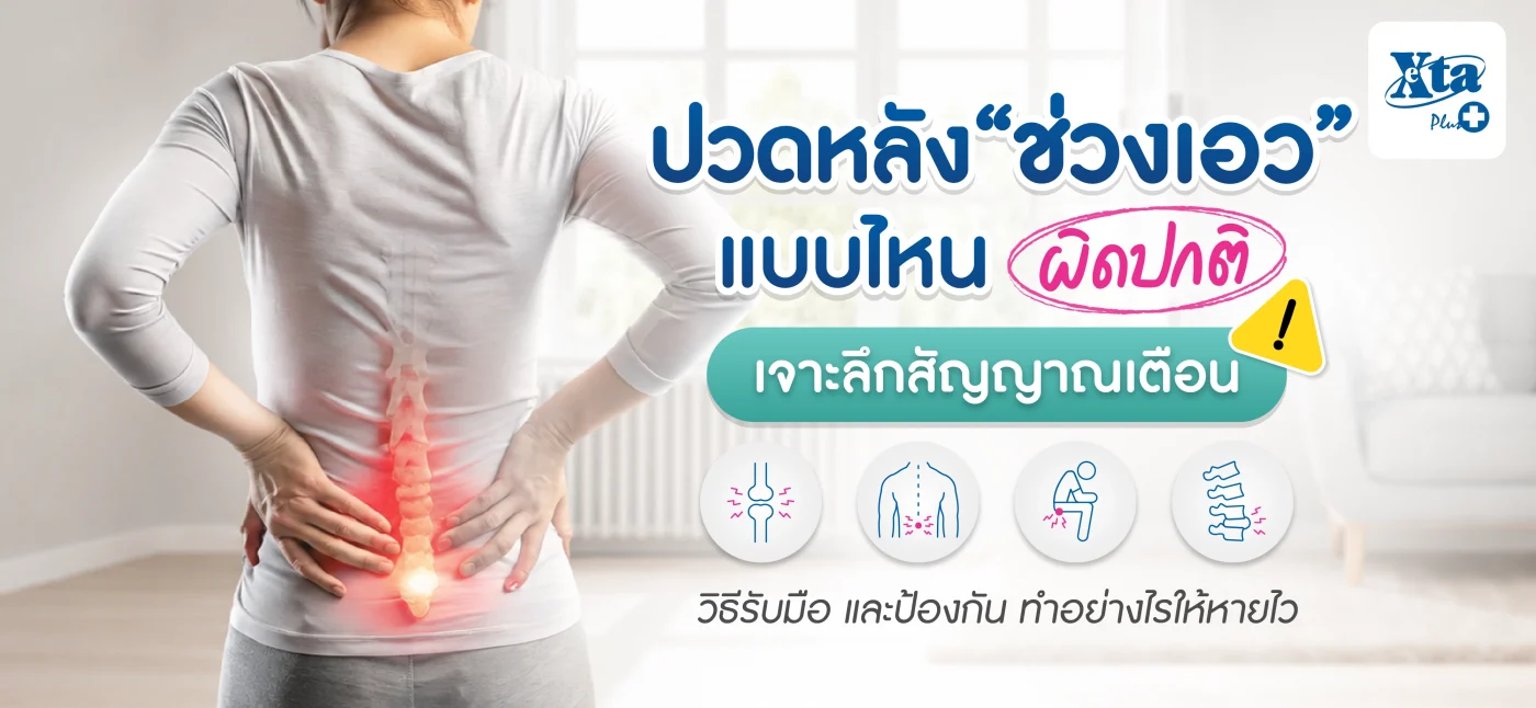 ปวดหลังช่วงเอวแบบไหนผิดปกติ เจาะลึกสัญญาณเตือนและวิธีรับมือ